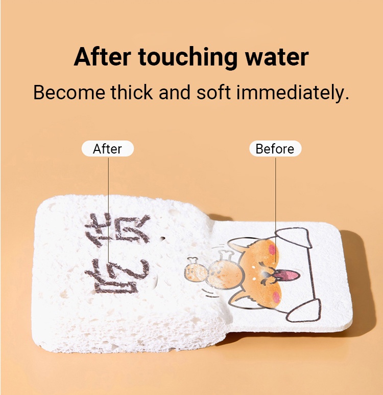Wood-Pulp-Sponge-4